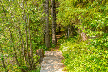Obraz premium Beautiful Mountain Trail. Lightning Lake Trail at Manning Park in British Columbia. Canada.