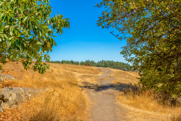 Obraz premium Majestic mountain lake in Canada. Drumbeg Park Lake Trail View.