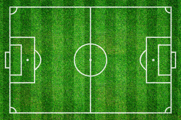Striped grass soccer or football field. Green lawn court for sport background. Top view