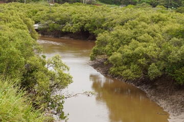 Fototapeta na wymiar Boat Moored Amongst Mangroves