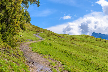 Fototapeta na wymiar Crossing the Alps. Hiking trail in the Alps. Murren. Switzerland.