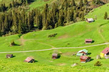 The Swiss Alps at Murren, Switzerland. Jungfrau Region. The valley of Lauterbrunnen from Interlaken.