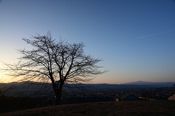 Fototapeta premium 山形市を一望する3月の日悠創の丘