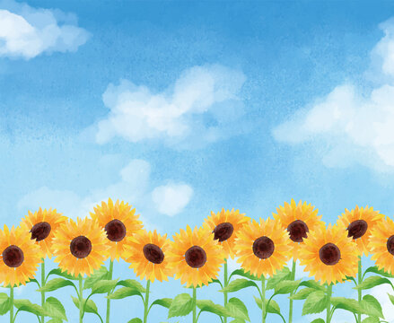 トワトワ Photos Images Assets Adobe Stock