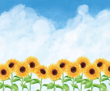 トワトワ Photos Images Assets Adobe Stock