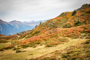 autumn in the mountains, gastein valley, salzburg, austria, schlossalm