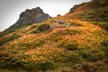 autumn in the mountains, gastein valley, salzburg, austria, schlossalm