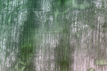 Fototapeta premium old shabby wood panel texture - cute abstract photo background