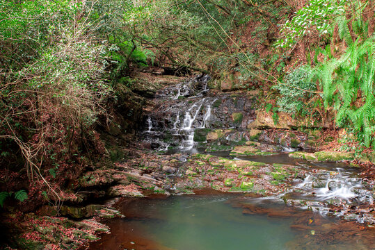 Elephant Waterfall, Shillong, Meghalaya