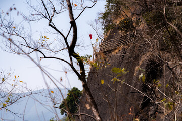 Bamboo trail trek in Meghalaya. Bamboo bridges built to traverse difficult terrain.