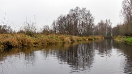 autumn landscape gray and cloudy day, river bank with bare trees and bushes, bank reflection in river water