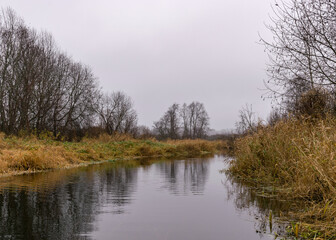 Fototapeta na wymiar autumn landscape gray and cloudy day, river bank with bare trees and bushes, bank reflection in river water