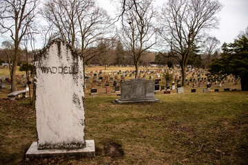 gravestones in a cemetery