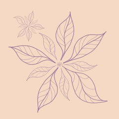 beige floral abstract line background