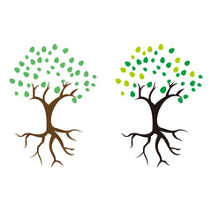 Tree and root logo icon vector template