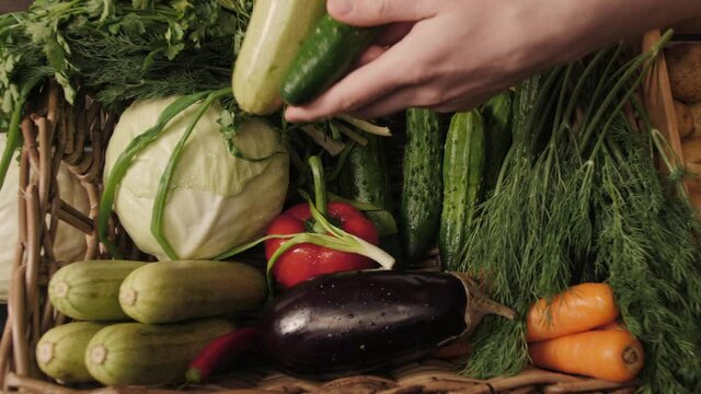 fresh vegetables and fruits, farm products. Organic products