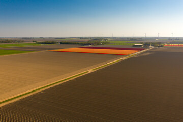 Agriculture fields in the Netherlands. Aerial view