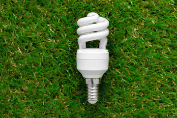 Energy efficient light bulb lying on grass