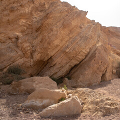 Red Canyon in southern Israel. natural rock formations.

