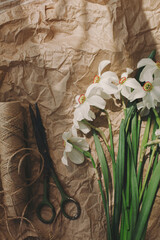 Beautiful daffodils, scissors, twine in sunny light on rustic brown paper background, top view