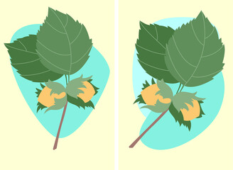 Vector flat design set : hazelnuts with green leaves on abstract blue spots. Elements for card , poster, logo, illustration.