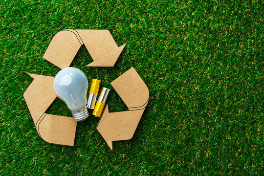Eco energy saving light bulbs on grass background