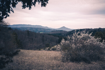 Schwäbische Heide mit Blick auf den Hohenzollern