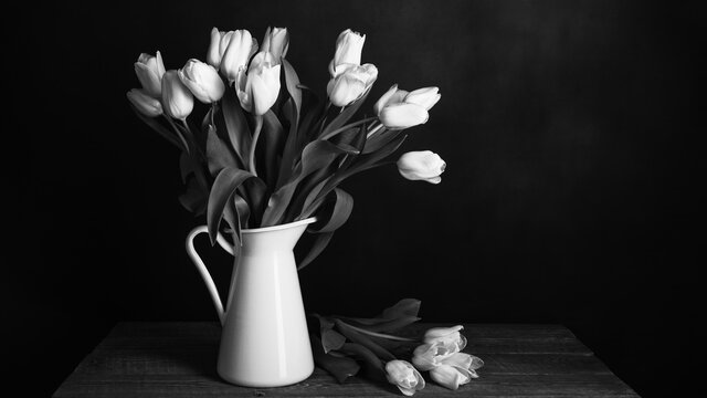 Tulips in a jug. Classic still life with a bouquet of tulip flowers in a vintage white jug on a dark background and an old wooden table. The style is black and white.