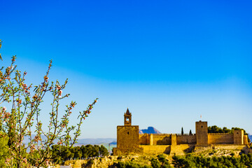 Spring tree and Alcazaba fortress in Antequera, Spain.