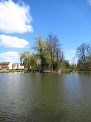 Bäume an See im Park