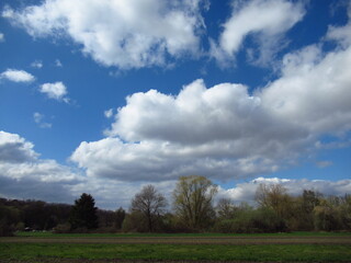 Wolken über Bäumen