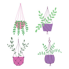 Hanging plants. Potted plant. Houseplant. Hand drawn illustration. Flat vector illustration.