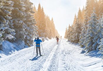 Cross-country skiing in winter nature