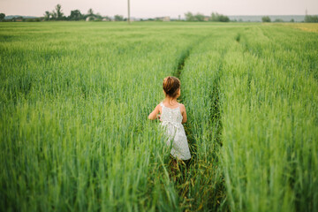 Fototapeta na wymiar girl playing in the field. summer time. childhood.