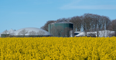 Biogasanlage zur Stromerzeugung und Energiegewinnung