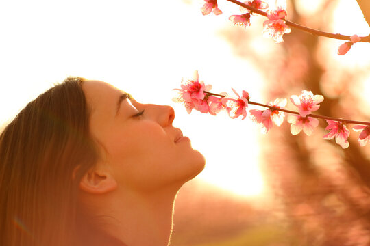 Profile Of A Woman Smelling Flowers In Spring At Sunset