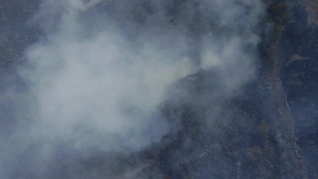 smoke cloud due to forest fire on a mountain