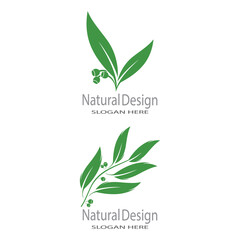 Leaf icon Vector Illustration design Logo template