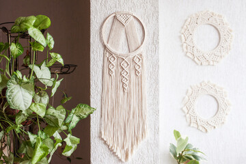 Handmade cotton macrame Dream catcher on white wall background. Traditional amulet for protecting sleep.  Macrame lace on the wall with green leaves