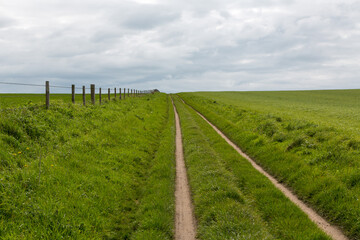 Naklejka na ściany i meble landscape with a fence and track