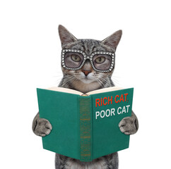 A gray cat in glasses is holding an open book. White background. Isolated.