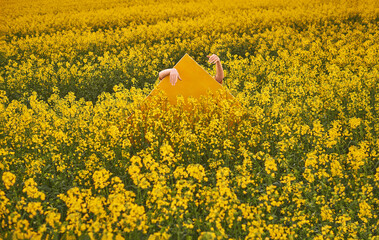 Hands and yellow oil canvas at the field of yellow rapeseed