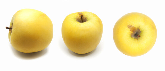 delicious golden apples isolated set on white background