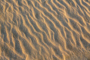 Patterns in the sand