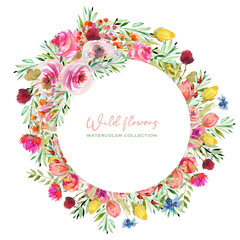 Round frame of watercolor wild roses, cornflowers, dandelion, clover and other wildflowers, isolated illustration on white background