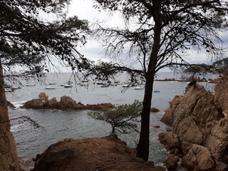 magnifique paysage 