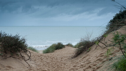 Sentier dans les dunes vers la plage