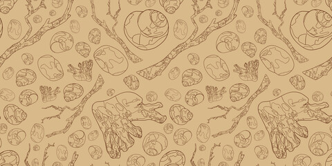 Banner with seashells and snags. Marine elements on a beige background. Marine background. Outline drawing.