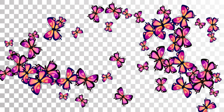 Tropical purple butterflies cartoon vector illustration. Summer little moths. Decorative butterflies cartoon girly background. Gentle wings insects graphic design. Tropical beings.