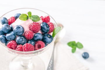 Blueberry raspberry dessert with mint in ice-cream bowl, low shallow focus with copy space